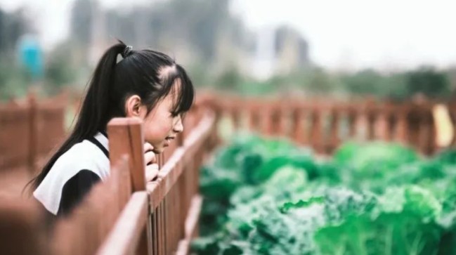 亲近自然 拥抱秋天｜莫恩公学云溪小镇研学